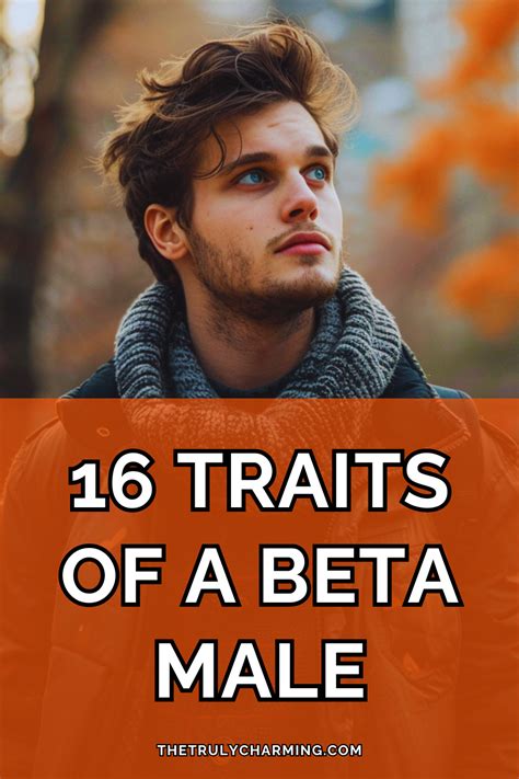 what is a beta male|16 Interesting Traits of a Beta Male .